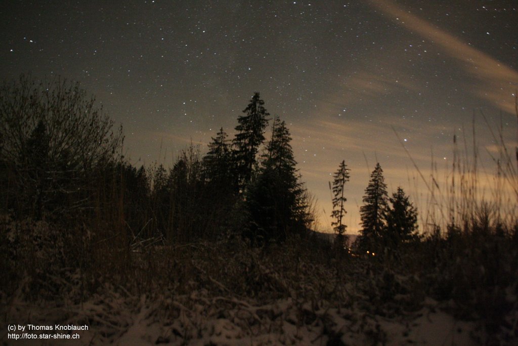 Stars in a winter's night