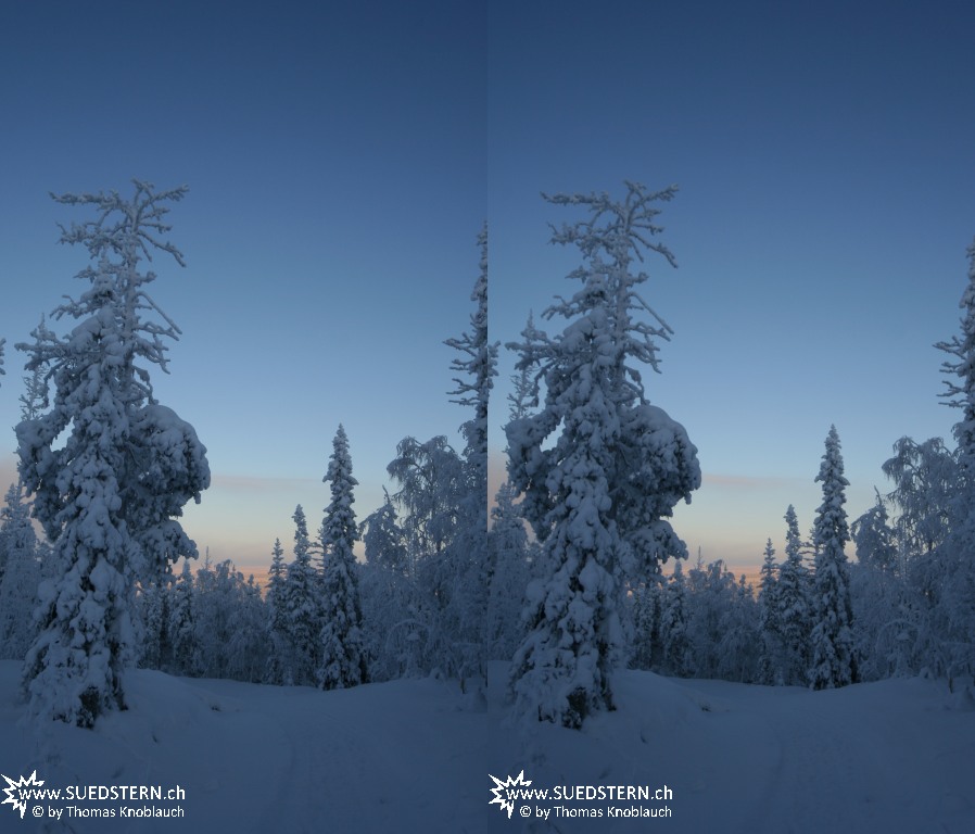 2012-02-01 - Woods at Levi Hill, Finnland 3D