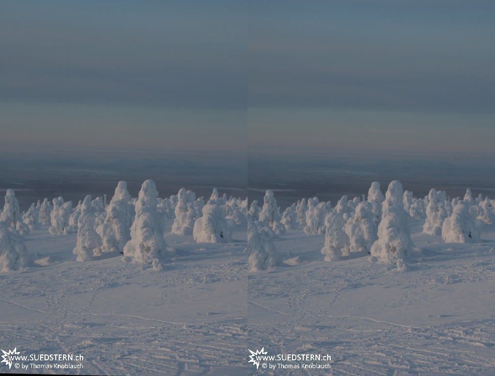 2012-02-03 - Frozen trees on Levi Hill, Finnaland 3D 3