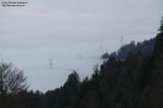 Powerlines in a sea of fog Powerlines in a sea of fog