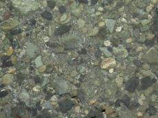Clear water Clear water