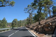 IMG 0648 IMG 0648