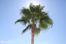 IMG 0963 IMG 0963