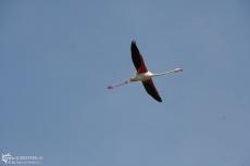 IMG 4014 IMG 4014