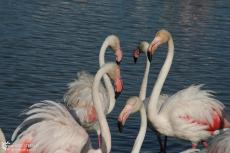 IMG 4169 IMG 4169