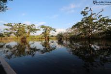 Cuyabeno (Ecuador) - Laguna Grande - IMG 5225